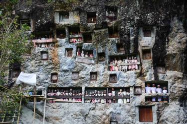 Tana Toraja: Panduan Lengkap Wisata Budaya Sulawesi Selatan yang Menakjubkan