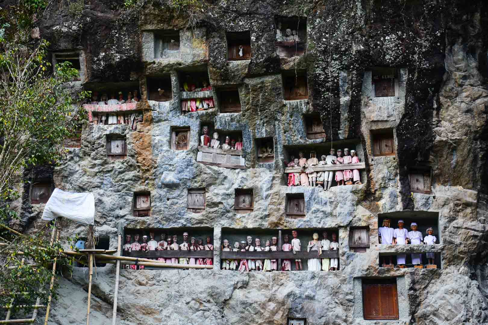 Tana Toraja: Panduan Lengkap Wisata Budaya Sulawesi Selatan yang Menakjubkan
