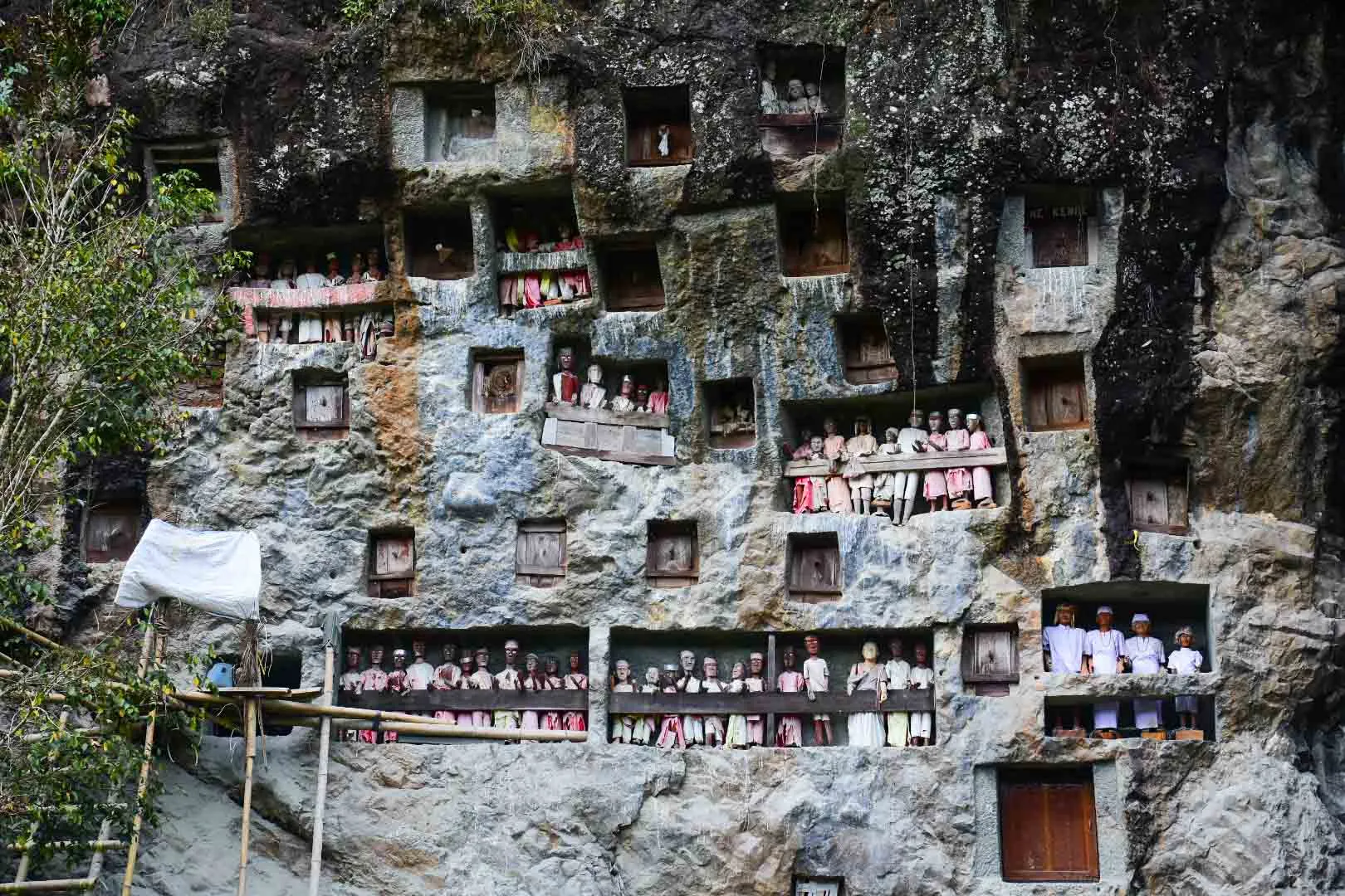 Tana Toraja: Panduan Lengkap Wisata Budaya Sulawesi Selatan yang Menakjubkan