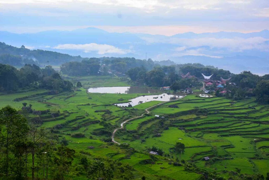 wisata toraja makassar 6 hari 5 malam