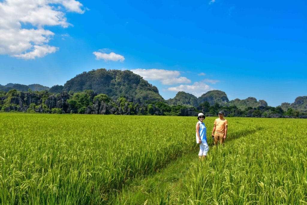 hutan karts rammang rammang