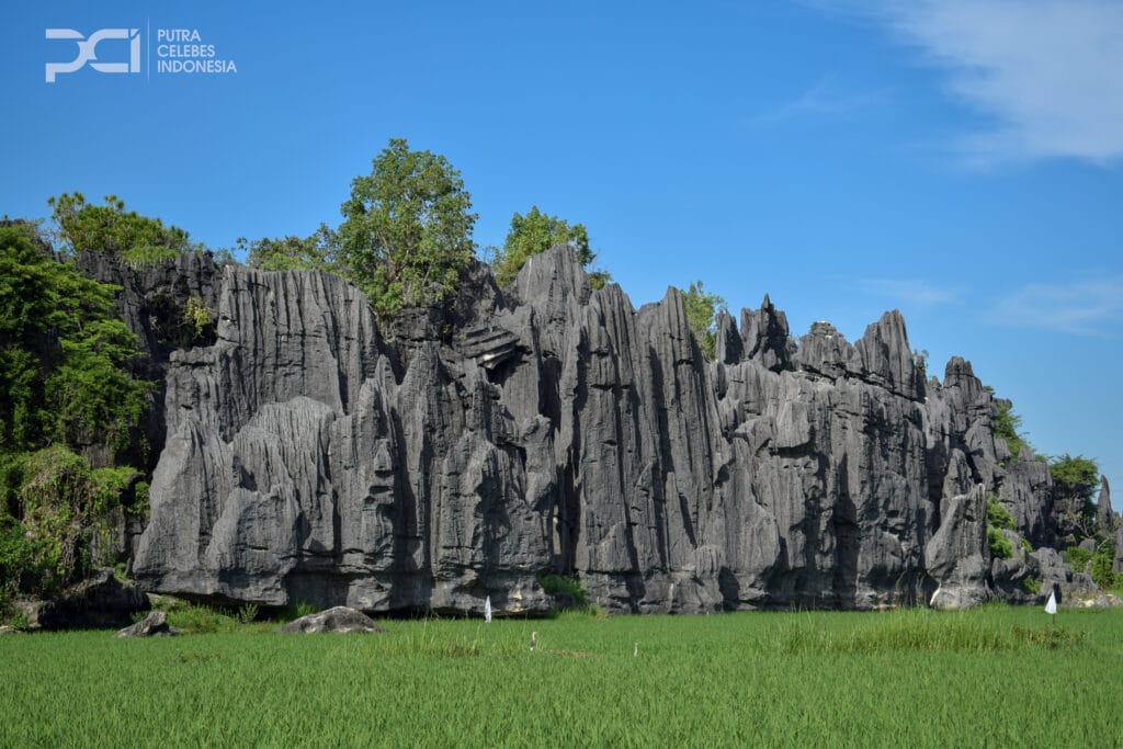 one day trip maros pangkep